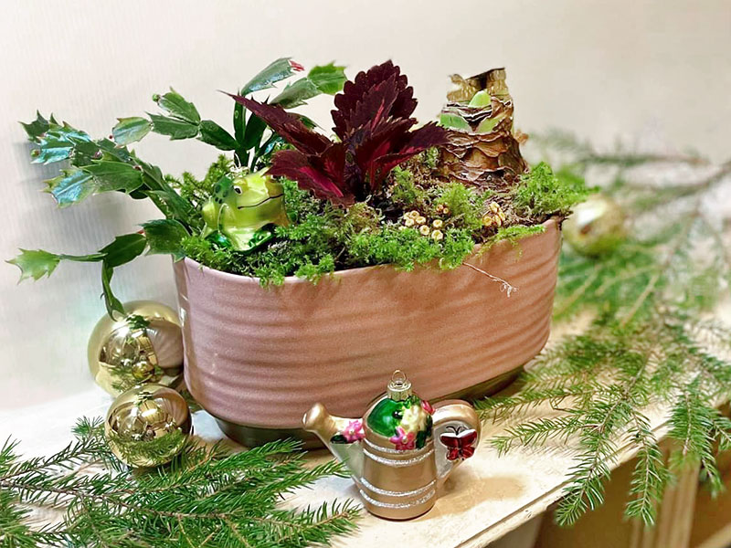 Julgrupp med små krukväxter - KR